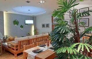 客厅绿植怎么放比较好呢